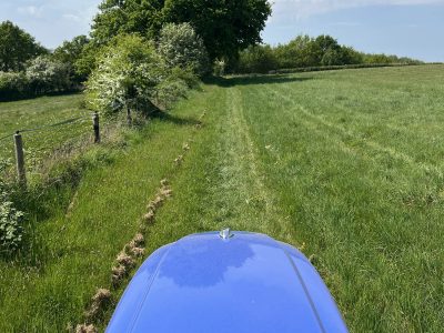 Meadow mowing
