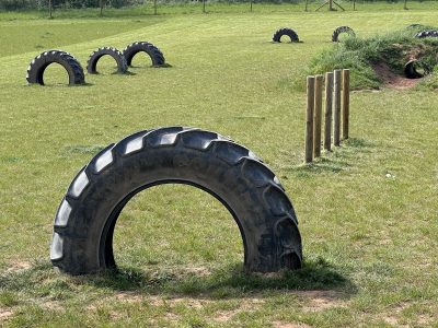 Dog field agility equipment